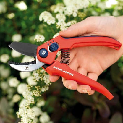 Spear & Jackson CUTTINGSET3 Razorsharp Adjustable Width Pruner and Glove Set, Steel - style: Adjustable Width Secateur & Gloves Set