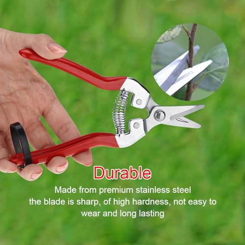 Professional Garden Pruning Shears for Roses and Flowers, Curved Blade Stainless Steel Hand Pruners, Heavy Duty Plant Trimming Scissors for Fruit Harvesting and Flower Arranging