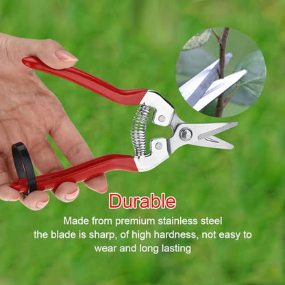 Professional Garden Pruning Shears for Roses and Flowers, Curved Blade Stainless Steel Hand Pruners, Heavy Duty Plant Trimming Scissors for Fruit Harvesting and Flower Arranging