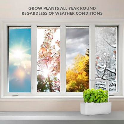 Click & Grow Indoor Herb Garden Kit with Grow Light | Smart Garden for Home Kitchen Windowsill | Easier Than Hydroponics Growing System | Vegetable Gardening Starter (3 Basil Pods Included), White - color: White