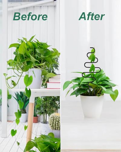 Black Small Plant Trellis for Climbing Plants Indoor, 13.8 Inch Trellis