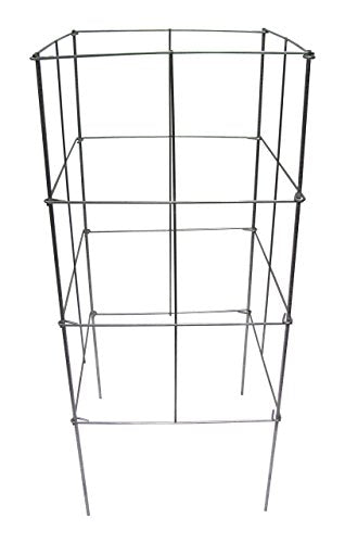 701642 16-Inch Wide by 42-Inch High Heavy Duty Stackable Square Plant Support
