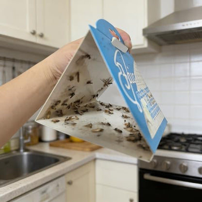 Faicuk Pantry Moth Traps with Pheromone Attractant, 8 Pack