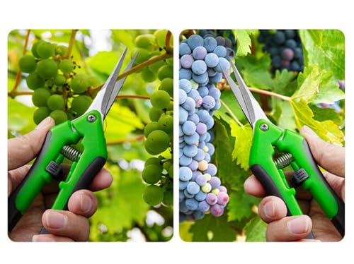 Pruning Shears for Gardening, Ultra Sharp Garden Scissors for Precise Cuts, Stainless Steel Bonsai Clippers with Spring Loaded, 6.5 Inch Garden Shears with Straight Stainless Steel Precision Blades - color: Green&black