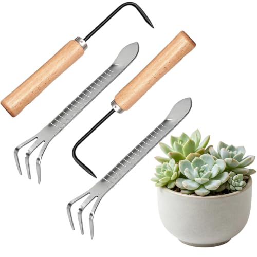 Bonsai Tools, Bonsai Root Rake, Small Root Hook,Rake Pic for Soil Loosening - size: 4 Pack