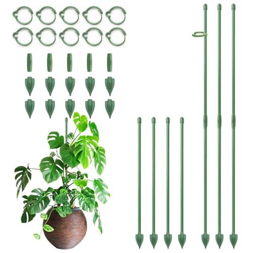 RIFNY Plant Stakes for Indoor Plants, 14 Inch Plant Support Stakes, 10 PCS - color: Green, size: 14IN 10PCS