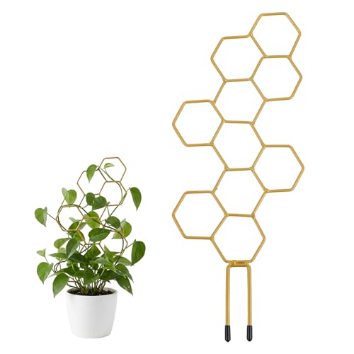 Small Trellis for Potted Plants, 14 Inch Indoor Trellis for Climbing Plants Honeycomb Shape Metal Plant Trellis for Pots Plant Climbing Support for Flower Hoya Pothos Houseplants - color: GOLD