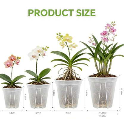6/8/10/12 Inch Large Clear Nursery Deep Pots with Drainage Hole 12 Pack, Deep Plant Pots with Drainage for Seedling Flower Vegetable, Ideal for Hyacinths, Amaryllis, Reusable Deep Pots