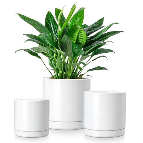 vancasso Ceramic Plant Pots, 3 Piece Planters for Indoor Plants, White - color: White, size: 4.25 + 5.25 + 6.25 Inch