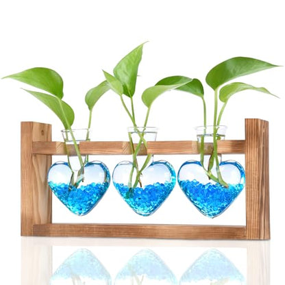 Nacome Plant Terrarium with Wooden Stand, 3 Heart Bulb Glass Vases - color: Transparent