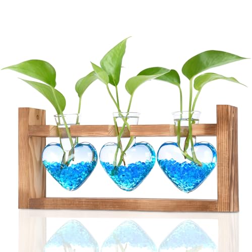Nacome Plant Terrarium with Wooden Stand, 3 Heart Bulb Glass Vases - color: Transparent