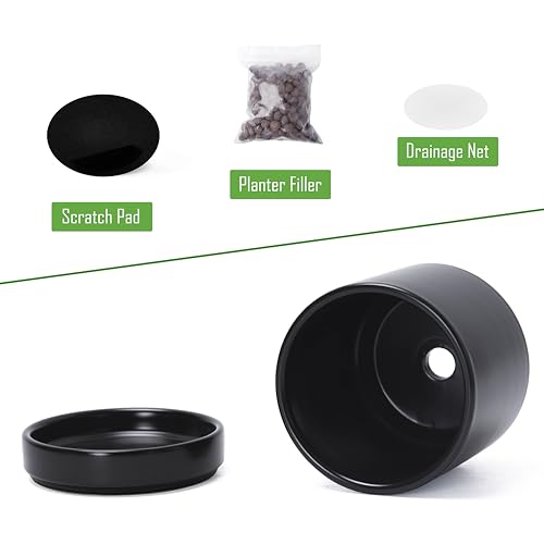 D'vine Dev 2-Pack Ceramic Pots with Saucers, Black, 4.7 in, 94-V-B-2 - color: Black, size: 4.7 Inch