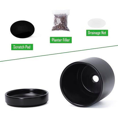 D'vine Dev 2-Pack Ceramic Pots with Saucers, Black, 4.7 in, 94-V-B-2 - color: Black, size: 4.7 Inch