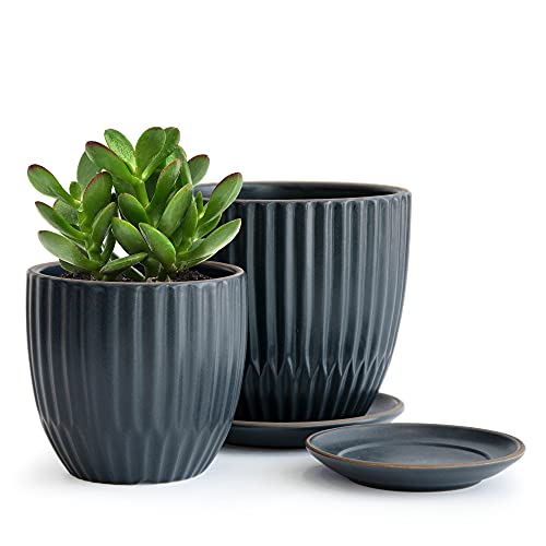 D'vine Dev 2-Pack Stoneware Planter Pots, 4.5/5.8 in, Charcoal Grey, 99-D-3 - color: Gray