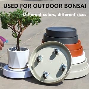 10" Plant Caddy with Hidden Wheels,2-Pack Gray+Light Gray - color: 10 Inch