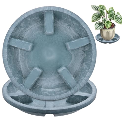 M METERXITY 2-Pack Plant Saucers, 8 Inch OD Anti-Rot Root Resin Flower Pot Plant Saucers for Indoor/Outdoor, Flowerpot Drip Tray [6.3 Inch ID, Blue] - color: Blue, size: 8 Inch OD