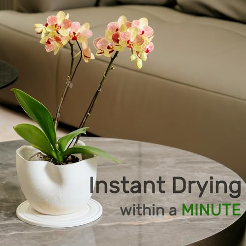 Relime Diatomaceous Earth Plant Saucer for Indoor, 2 Pack 6 inch, Instant Dry Pot Saucer, Plant Drip & Drainage Tray for Indoor, Off White - color: White, size: Round 6"