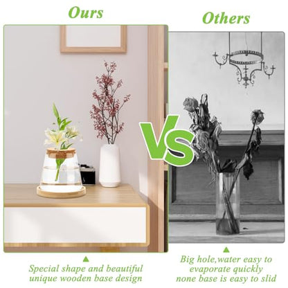 2 Pcs Plants Propagation Station, Desktop Glass Planter Station
