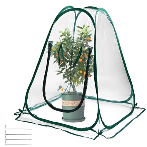 Plant Mini Greenhouse Pop Up Transparent Greenhouse Freeze Protection PVC Plant Cover with Roll-up Zipper Entry Doors for Indoor and Outdoor Gardens Protecting Plant from Cold Frost(PVC, 28x28x32in) - size: 28x28x32in