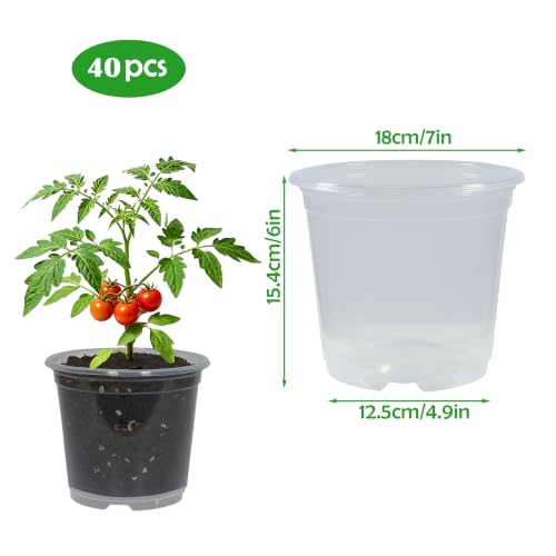 40 Pack 7 Inch Clear Nursery Pots with Drainage Plant Pots for Plants Transparent Potting Containers for Plants Seeding Starter Pot(Clear, 7 Inch 40 Pcs) - color: Clear, size: 7 Inch 40 Pcs