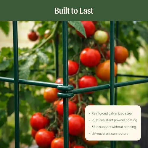 Vego 3-Panel Tomato Cage for Garden & Pots, Rust-Resistant Tomato Stakes Plant Cage Trellis Support for Climbing Vegetables Plants- 11.5" Triangle 4 Pack - size: 11.5 inch