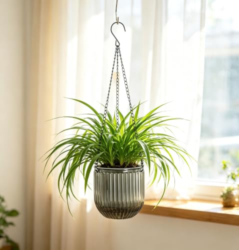 Melphoe 2 Pack Self Watering Hanging Planters Indoor Flower Pots, 5.3 Inch Outdoor Hanging Basket, Plant Hanger with 3Hooks Drainage Holes for Garden Home (Gray) - color: Gray, size: 5.3''+5.3''