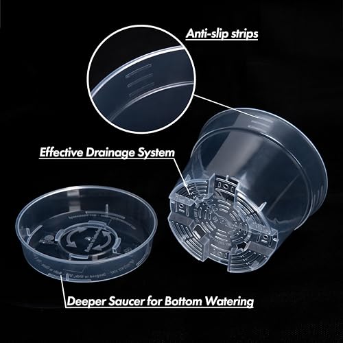 6 Inch Clear Plastic Plant Pot with Drainage Holes, Interlocking & Detachable Tray - Deep Saucer - Durable BPA-Free Plastic, Transparent Design, Raised Base for Airflow, Set of 6, 92-X-A-4 - size: 6" x 4.3"