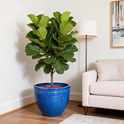Large Ceramic Planter Pot for Indoor Outdoor Plants Flowers