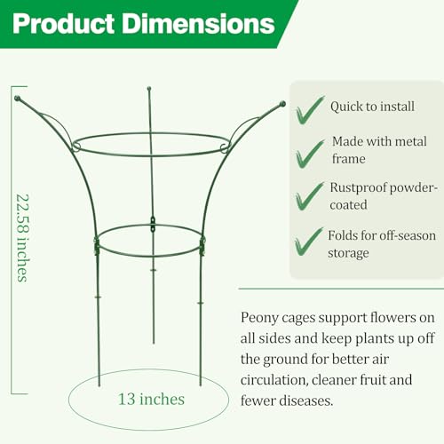 2 Pack Peony Cages and Supports Cages 13" D x 22.8" H Sturdy Metal Support Frame for Peonies & Roses Natural Bouquet Shape Garden Stakes for Outdoor Plants Flowers Ornamental (Green) - color: Green, size: 2 Pack