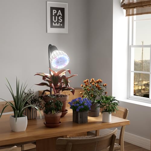 GooingTop Grow Light,24W (160Watts Equiv) 5000K White Full Spectrum LED Growing Lamp Clip on Desk for Indoor Plants,Bulbs Replaceable & Non-dimmable (Black, 80W) - size: 80W