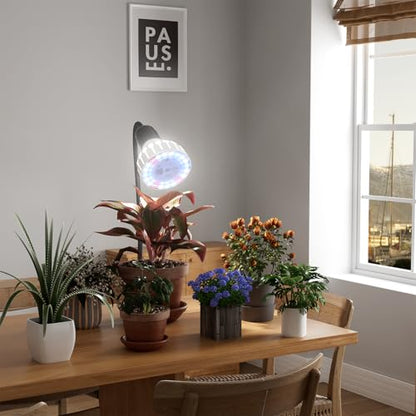 GooingTop Grow Light,24W (160Watts Equiv) 5000K White Full Spectrum LED Growing Lamp Clip on Desk for Indoor Plants,Bulbs Replaceable & Non-dimmable (Black, 80W) - size: 80W