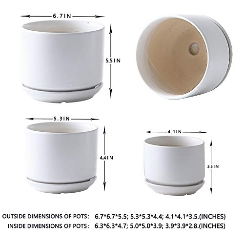 Yishang Succulent Plant Pots,6.7+5.3+4.1 in Glazed Ceramic Planters with Connected Saucers, Round Modern Ceramic Flower pots - Small to Large Sized Plant pots for All House Plants(Matte White) - color: White, size: 6.7+5.3+4.1 in