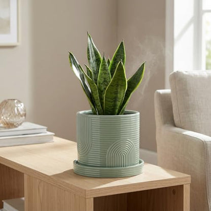 6 Inch Ceramic Plant Pot with Drainage Hole & Tray – Sage Green - color: Sage Green