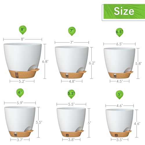 8/7/6.5/6/5.5/5 Inch Self Watering Pots for Indoor Outdoor Plants, Set of 6 Large Plastic Planters with Visual Water Window, Drainage Holes & Watering Lip, Modern Decorative Flower Pots (White) - color: White, size: 5/5.5/6/6.5/7/8 Inch