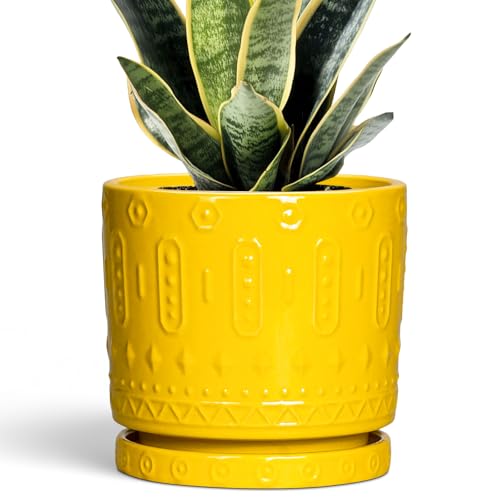 Eightpot 6 Inch Pots for Plants, Ceramic Pots for Plants with Drainage Holes and Tray, Round Planter for Indoor Outdoor, Modern Plant Pot, Decorative Flower Pot, Table Decor, Teacher Gift, Yellow - color: Yellow, size: 6 Inch