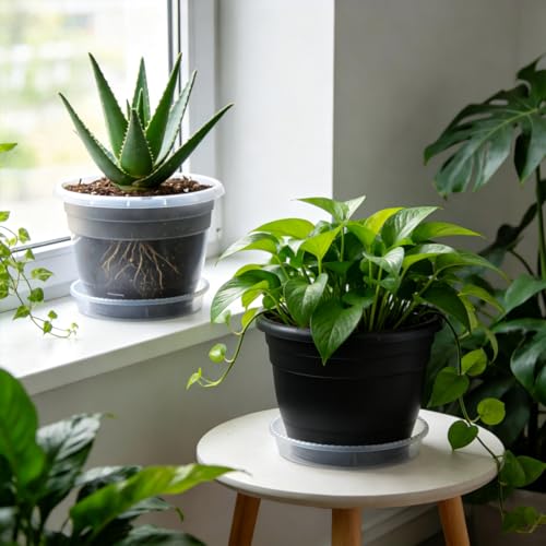 10 Pack 8 Inch Black Nursery Pots with Drainage Holes and Saucers - color: Black, size: 8 inch+10 trays