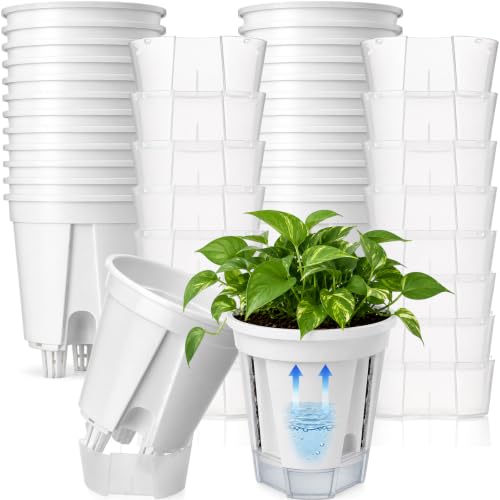 24 Pcs 4.72" Self Watering Pots for Indoor, White,Clear - color: White,clear