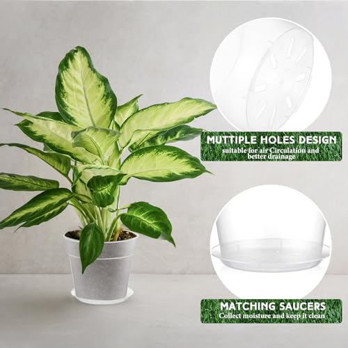 Baderke 3 Pack Clear Nursery Pot,9.25 Inches - size: 9.25 Inches