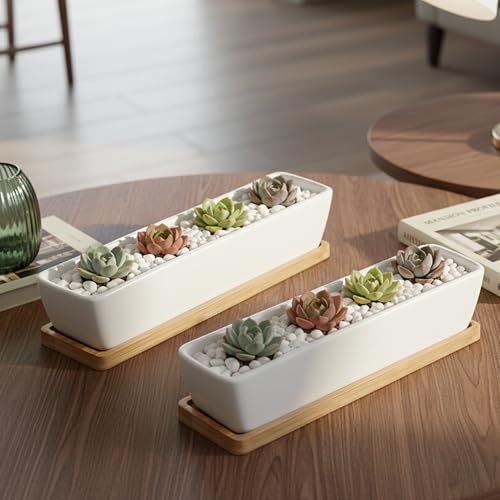 White Ceramic Succulent Planters, Indoor and Outdoor Succulent Planters, Set of 2 Cactus Containers, Bonsai Pots, Flower Pots with Drainage Hole and Bamboo Bowl (No Plant) - color: Thin Rectangle