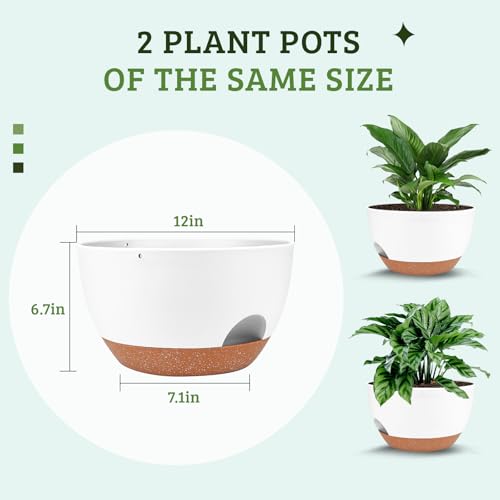 Vanslogreen Plant Pots 12inch Self Watering Pots, Set of 2 Plastic Planters with Drainage Holes and Saucers, Flower Pots for Indoor Outdoor Plants (White) - color: White