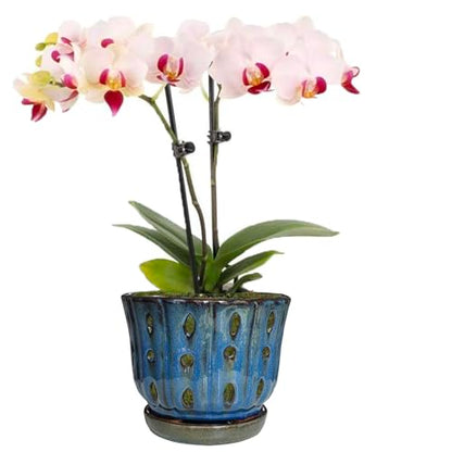 6 inch Round Ceramic Orchid Pot with Holes Orchid Planter (Dark Blue) - color: Dark Blue