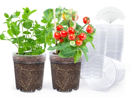 homenote 6.7 Inch Clear Plastic Nursery Pots with Drainage Holes (15 Pcs) - color: Clear, size: 6.7 Inch-15 Pack