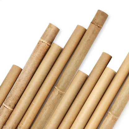 Cambaverd Bamboo Stakes 8 Feet, 1in Dia. Garden Stakes,10 Pack Bamboo Poles - size: 8 FT-10PACK