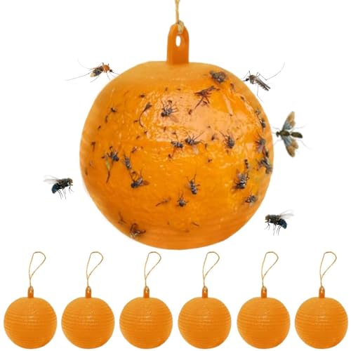 6pcs Sticky Insect Trap Ball Osseph Fruit Fly Trap Balls for Indoor Outdoor - color: Orange