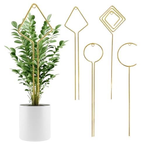 Indoor Plant Trellis 4 Pcs Small Hoop Mini Climbing Plant Support