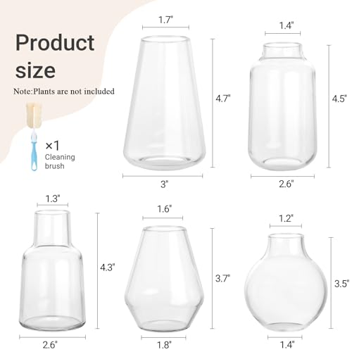 Mkono Propagation Vases 5 Glass Jars Station for Hydroponic Plants, Clear - color: Clear