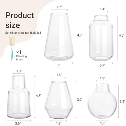 Mkono Propagation Vases 5 Glass Jars Station for Hydroponic Plants, Clear - color: Clear