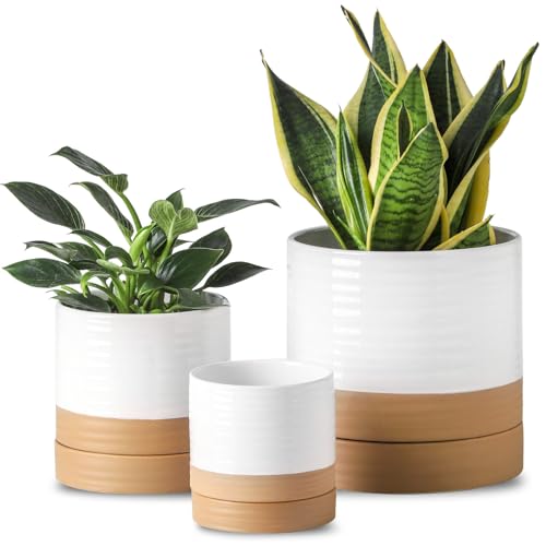HASENSE Planters for Indoor Plants, 8+6+4.6 Inch Ceramic Plant Pots Indoors with Drainage Hole and Tray, Dual Contrast Glaze Flower Planters for Herb Snake Succulent, Set of 3, White - color: White & Terracotta, size: 8+6+4.6 Inch