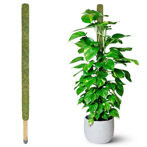 DUSPRO 59" Large Green Mesh Moss Pole Monstera Plant Support, (1pc., 59'') - size: 59" GREEN MESH MOSS POLE