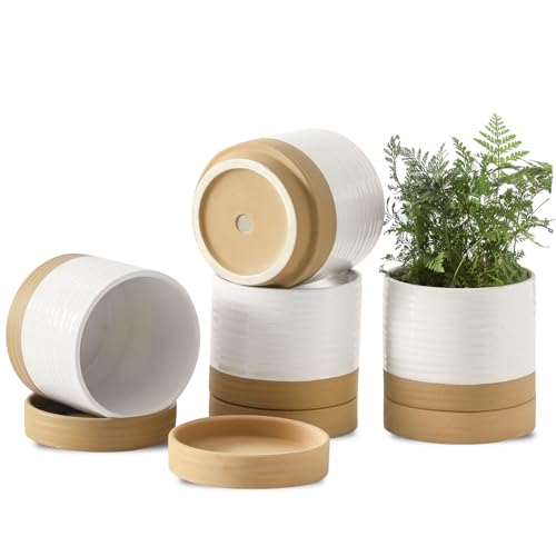 HASENSE Small Plant Pots, 4.6 Inch Ceramic Flower Pots with Two-Tone Glaze Design, Indoor Outdoor Planter with Drainage Hole and Saucer, Cute Tabletop Decor, 4 Pack, White-Brown - color: White & Terracotta, size: 4.6 Inch
